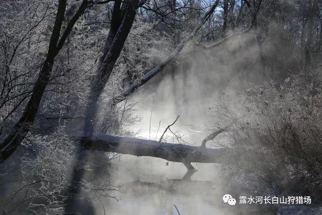 怎么叫领导关注一下你的抖音号呢?知识星球-聚焦专业领域知识互动平台