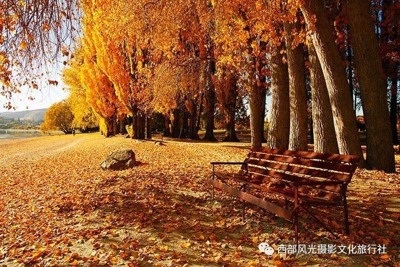 燃烧吧大脑免广告最新版